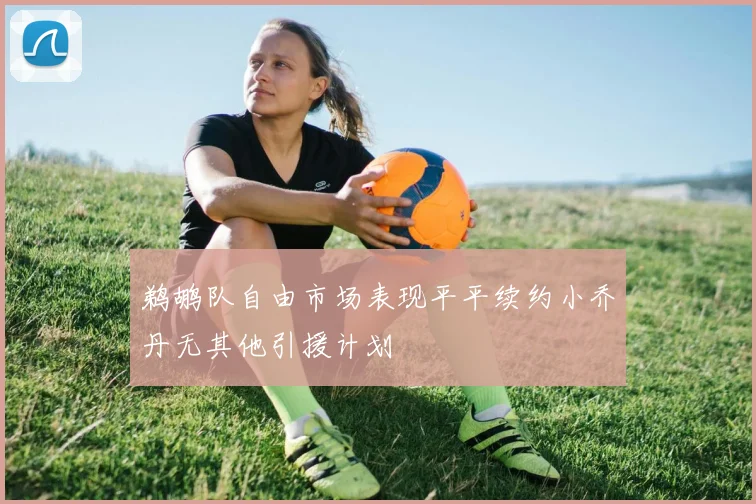 鹈鹕队自由市场表现平平续约小乔丹无其他引援计划