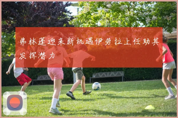 弗林蓬迎来新机遇伊劳拉上任助其发挥潜力