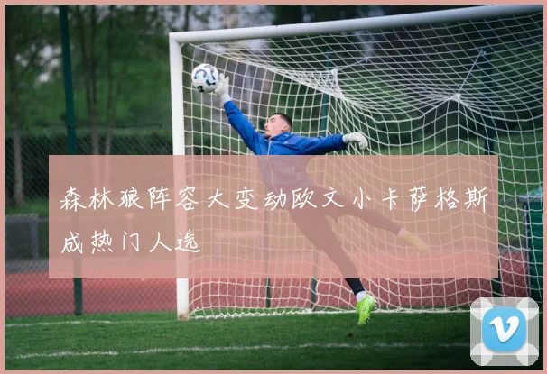 森林狼阵容大变动欧文小卡萨格斯成热门人选